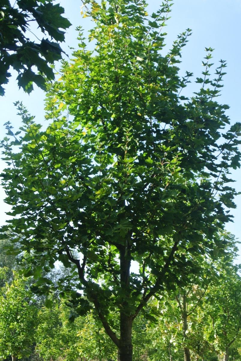 Ontdek de exclusieve kwaliteit van Eurostar